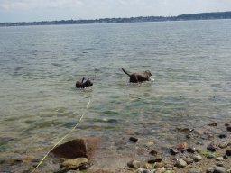 Urlaub Ostsee 2022