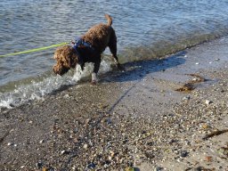 Urlaub Ostsee 2022